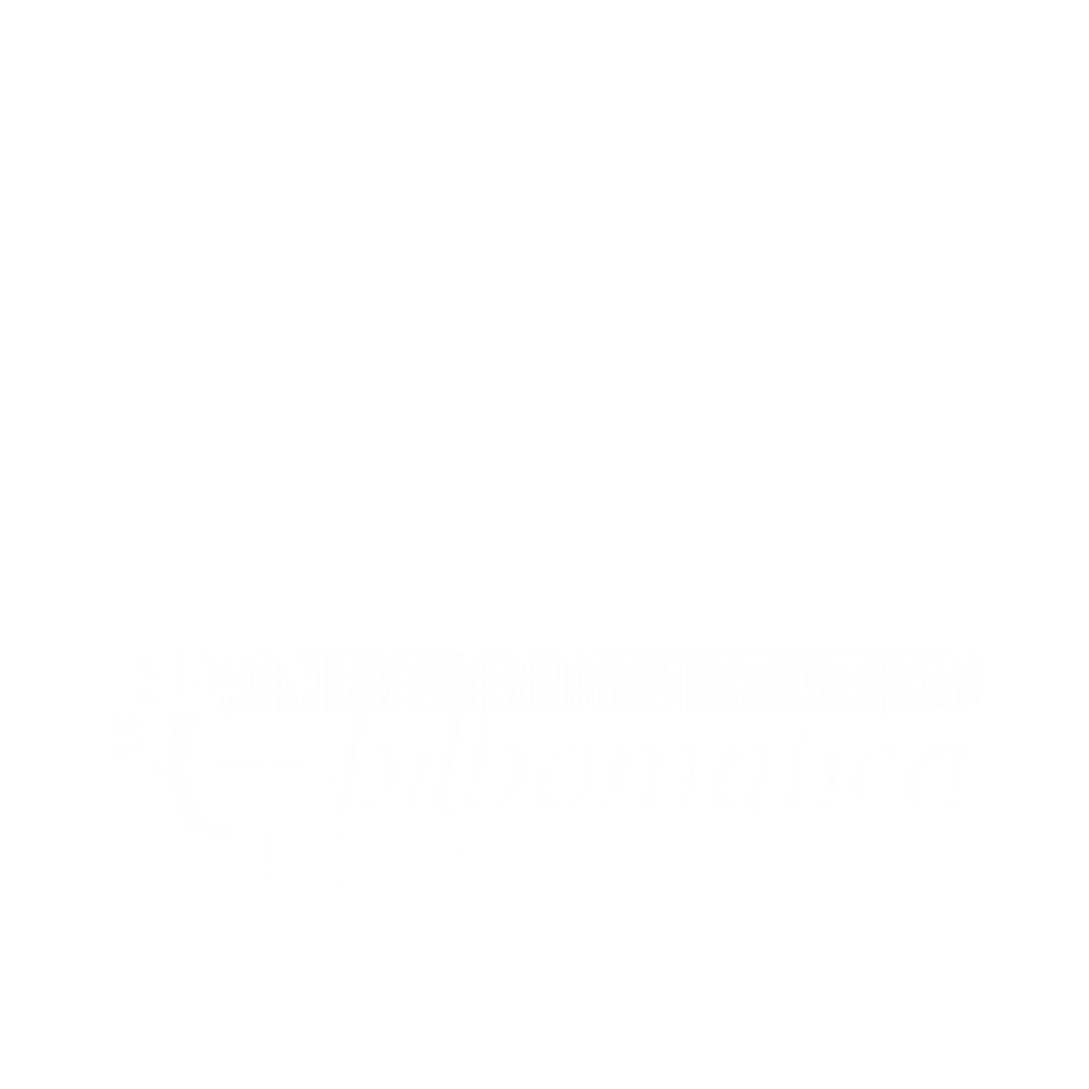 LogoArtecheBilbomatica